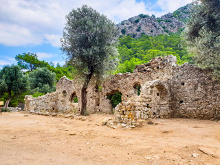 Fototapeta na wymiar Ancient Ruins in the Forest Antalya Turkey