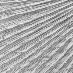 White wood texture and background