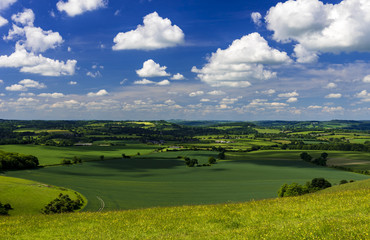 Summer Countryside Scene in Blackmore Vale and Vale of Wardour