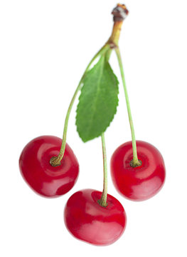 Cherry fruit isolated on white