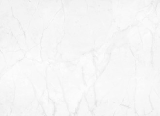 Fototapeta na wymiar Abstract white marble background with natural motifs.