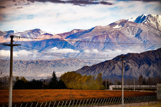 Mendoza