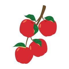 Red apples on the stalk with leaves vector illustration