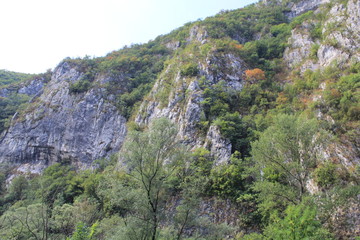 beauty in Nature, day, environment, forest, Formation, Green color, Growth, landscape, mountain, Nature, no people, non-urban scene, outdoors, Plant, Rock, rock-object, scenics-nature, solid, tranquil