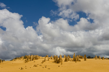 Strange limestone pillars emerge from the golden sand of the Pinnacles Desert in Nambung National Park, Western Australia.