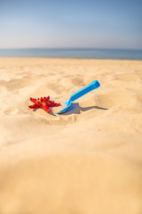 Fototapeta na wymiar beach with kid toys shovel, bucket and red sea star