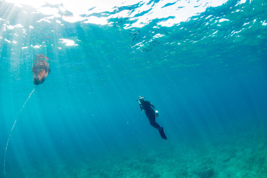 透明度の高い深い海でアワビを採る輪島のベテラン海女