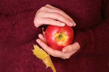 Autumn mood. The apple in female hands.