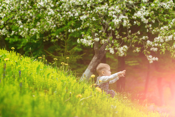 Child in park with blossoming dandelion flowers and trees