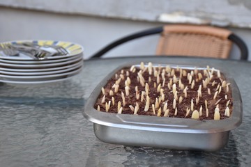 Closeup of cake