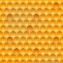 Stock vector illustration realistic honeycomb texture. Honey, beeswax EPS 10