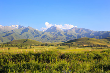 Mountains and green fields. Kyrgyzstan.