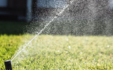 Irrigation (riegando jardin)