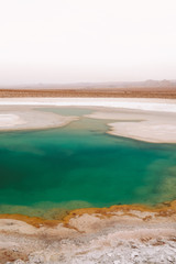 Chile. San Pedro de Atacama. Lagunas Escondidas de Baltinache The turquoise salt lake in the desert