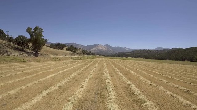 Rising shot above hay windrow displaying grass mountain