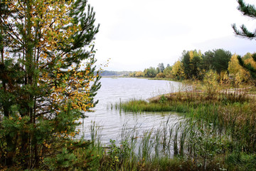 Autumn colours trees near the calm lake