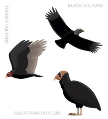Bird New World Vulture Set Cartoon Vector Illustration