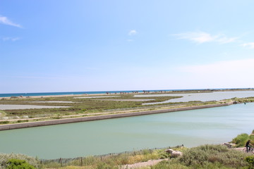 Paysage camarguais, sud de la france
