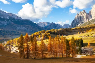 Papier Peint photo Lavable Automne Sunny autumn day in mountains. Yellow larches in backlight