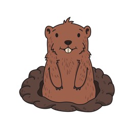 Cute friendly groundhog looking out from the burrow on white background. Groundhog day. Line vector illustration. Colored cartoon style, isolated.