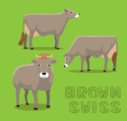Cow Brown Swiss Cartoon Vector Illustration