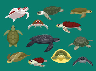 Naklejka premium Różne żółw morski stwarza ilustracji wektorowych