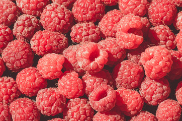 Ripe red raspberries. Greeting card with fruits