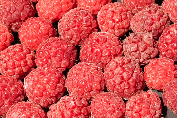 Ripe red raspberries. Organic Natural Food