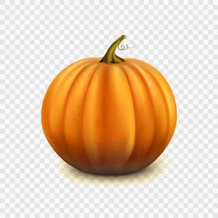 Obraz premium Stock vector illustration pumpkin isolated on a transparent background EPS 10