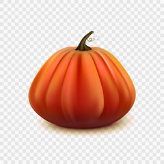 Stock vector illustration pumpkin isolated on a transparent background EPS 10