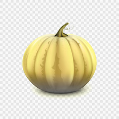 Stock vector illustration pumpkin isolated on a transparent background EPS 10