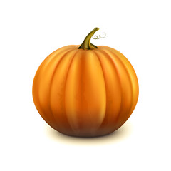 Stock vector illustration pumpkin isolated on white background. EPS 10