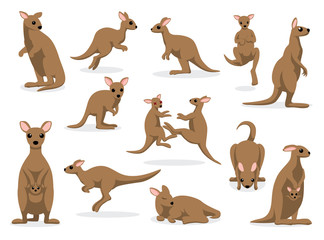 12 Kangaroo Poses Vector Illustration - obrazy, fototapety, plakaty