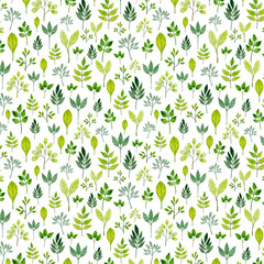 Pattern With Green Leaves On White Background