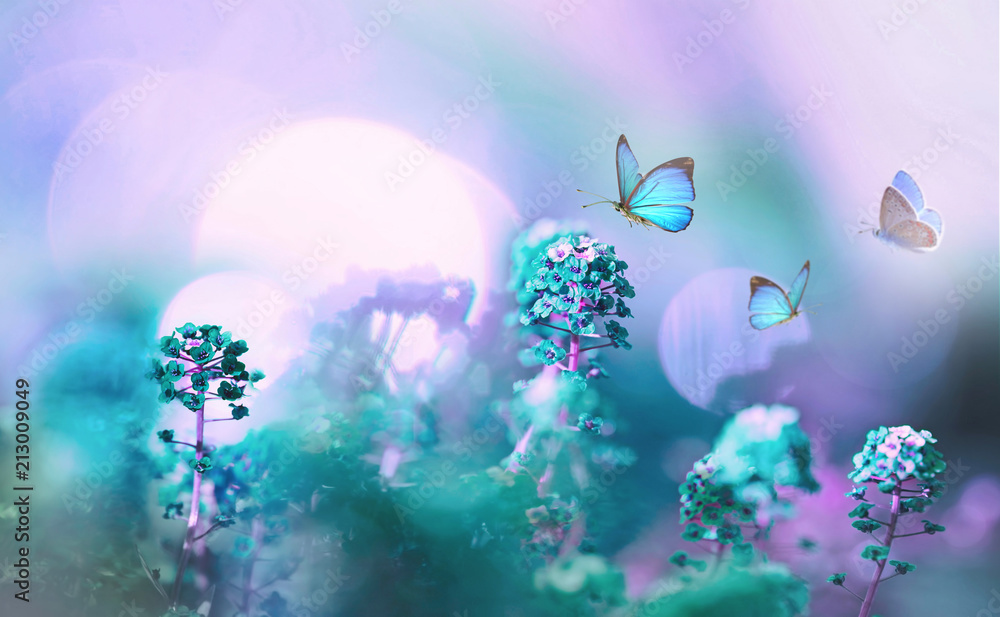 Poster wild flowers in field in nature in summer spring in sunlight with beautiful round bokeh with a soft 