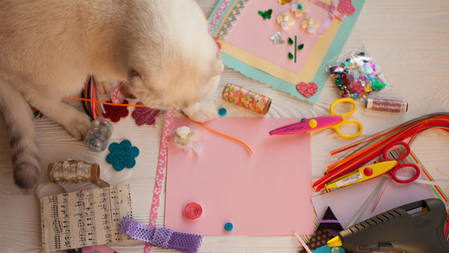 scrapbook background. Card and tools with decoration