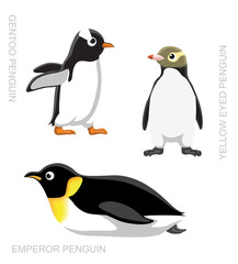 Naklejka premium Bird Penguin Set Cartoon Vector Illustration