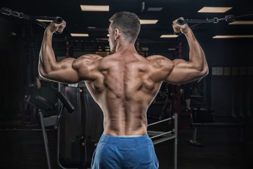 Fototapeta na wymiar Young handsome male athlete bodybuilder, weightlifter, doing exercise in the simulator. Muscles of the back, biceps. The concept of a personal trainer, in a modern gym. On a dark background. Fitness.