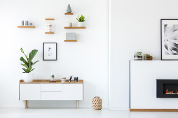 Plant on wooden white cupboard in apartment interior with posters and fireplace. Real photo - obrazy, fototapety, plakaty