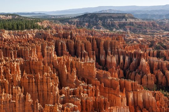 View of Bryce Amphitheater from Inspiration Point, coloured rock formations, fairy chimneys, morning light, Bryce Canyon National Park, Utah, USA, North America
