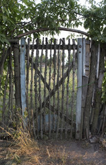 Wooden gate in the garden in summer