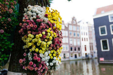 アムステルダムの街並みとカラフルなお花
