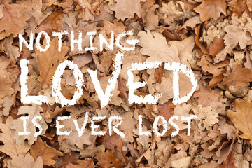 nothing loved is ever lost quote on oak leaves textured background
