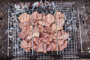 Pork on skewers cooked on barbecue grill. Chargrill. 