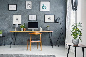 Plant on table near wooden chair at desk with computer desktop in freelancer's interior. Real photo