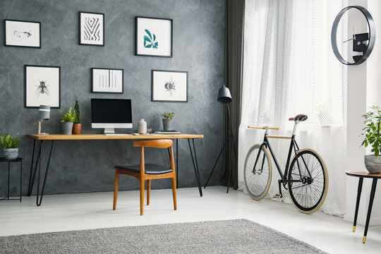 Bicycle next to wooden chair at desk in grey home office interior with posters. Real photo