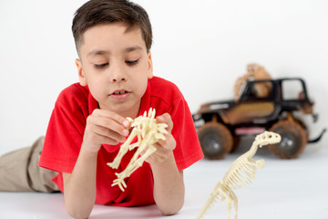 The boy wearing   red shirt lies on a floor and plays with toy skeletons of dinosaurs.