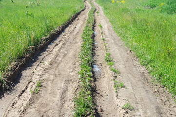 Dirt road in the meadow, summer time
