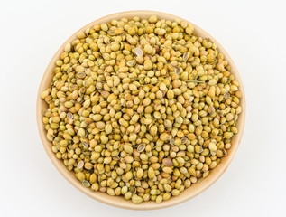 Close up of dried coriander seeds