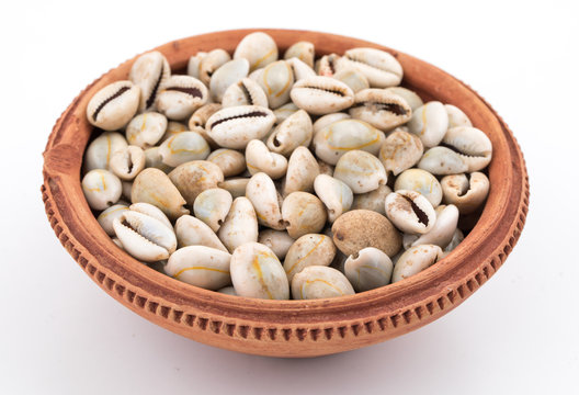 Natural white Black kaudi or kodi